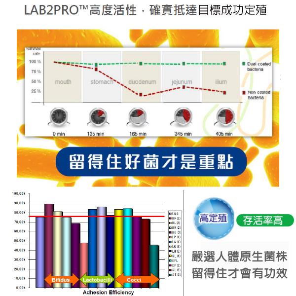 「OUTLET即期商品」DL-ABR淨敏舒乳酸菌+蔬果酵素+菊苣纖維+木寡糖膠囊(60粒)
