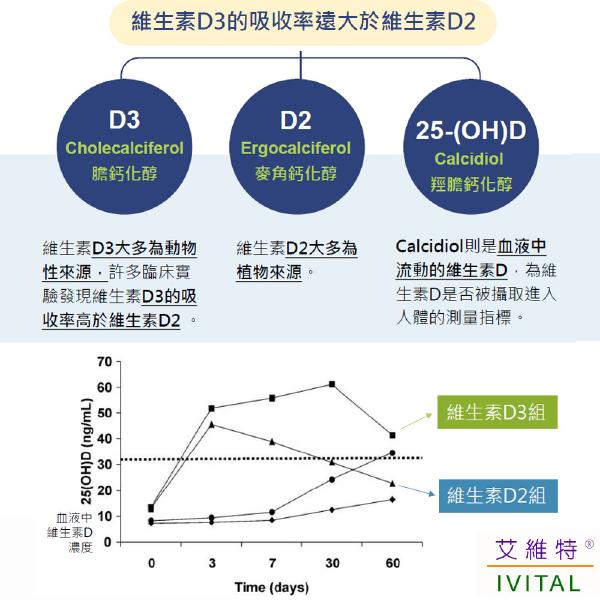 IVITAL艾維特®海藻鈣+蕎麥D3+K2 微甜可嚼錠100錠「買2送2盒B群組」全素