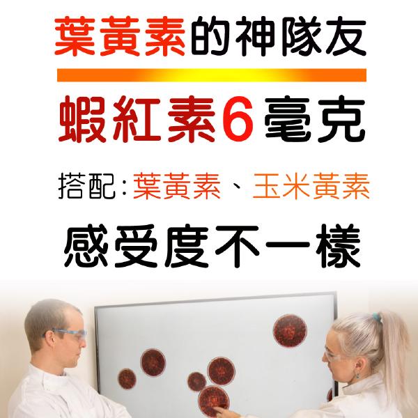 IVITAL艾維特®葉黃素/花青素膠囊「買3送1盒蝦紅素加強組」