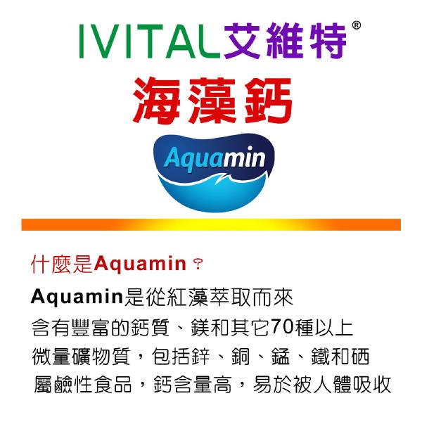 IVITAL艾維特®海藻鈣+蕎麥D3 微甜可嚼錠(100錠)全素