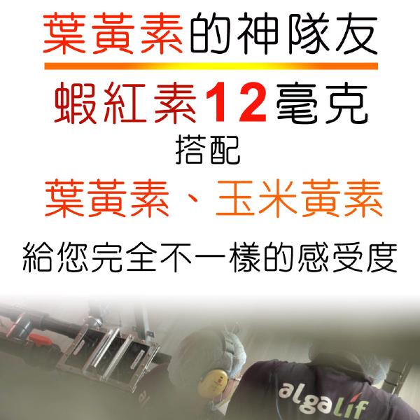 IVITAL艾維特®蝦紅素12毫克+微藻DHA/EPA膠囊(60粒)全素