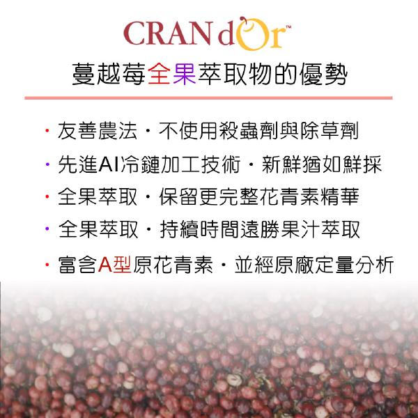 DL-ABS淨敏舒®蔓越莓+私密益生菌+洛神花萼+甘露糖「買2送2盒B群」