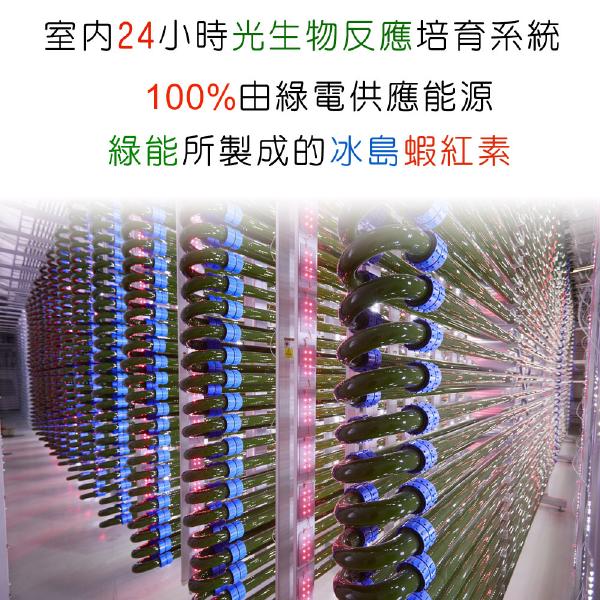 「滿16000贈品」IVITAL艾維特®蝦紅素12毫克+DHA膠囊「會員價1500元」