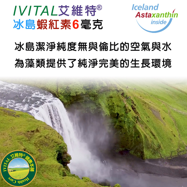 IVITAL艾維特®微藻蝦紅素6毫克+微藻DHA/EPA液態膠囊(60粒)全素