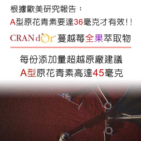 DL-ABS淨敏舒®蔓越莓+私密益生菌+洛神花萼+甘露糖「買5送1瓶組」