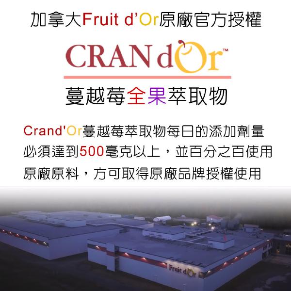 DL-ABS淨敏舒®蔓越莓+私密益生菌+洛神花萼+甘露糖「買2送2盒B群」