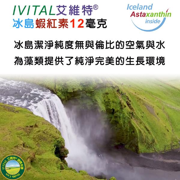 「滿16000贈品」IVITAL艾維特®蝦紅素12毫克+DHA膠囊「會員價1500元」