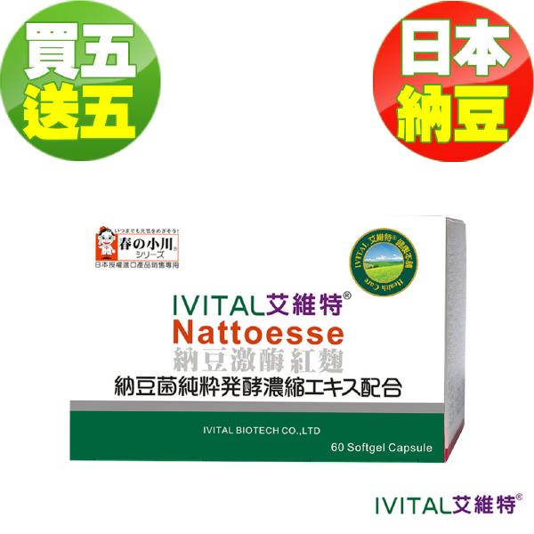 日本春の小川高活性納豆激酶膠囊(60粒)「買5送5限量組」