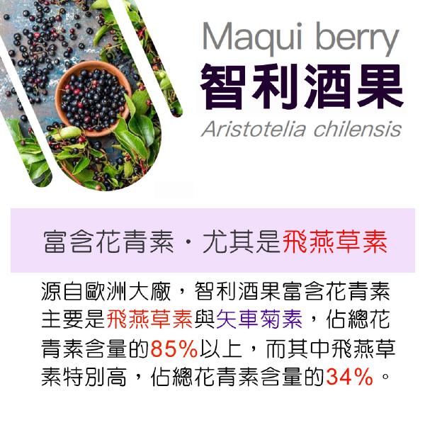 IVITAL艾維特®雙花青素葉黃素EX加強膠囊30粒「買3送1組」全素