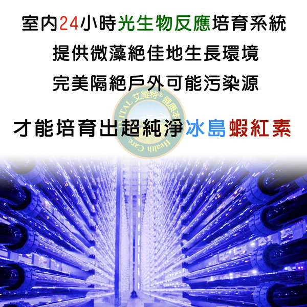 「滿16000贈品」IVITAL艾維特®蝦紅素12毫克+DHA膠囊「會員價1500元」