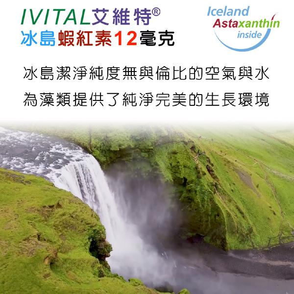IVITAL艾維特®蝦紅素12毫克+DHA/EPA膠囊(60粒)「買2送1組」全素