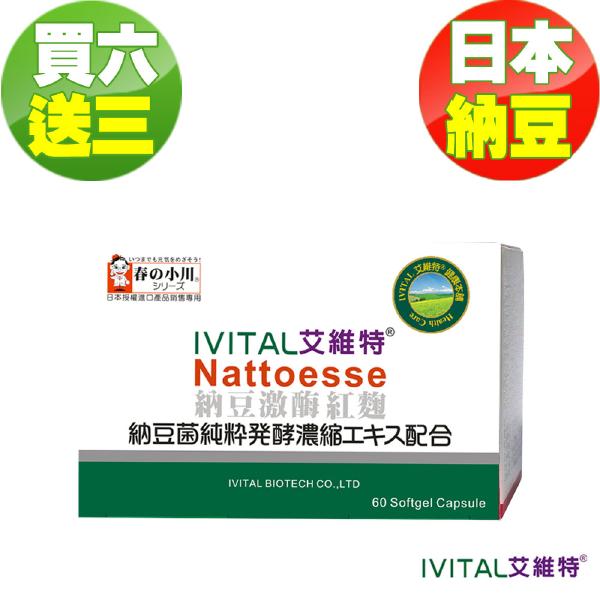 日本春の小川高活性納豆激酶膠囊(60粒)「買6送3限量組」