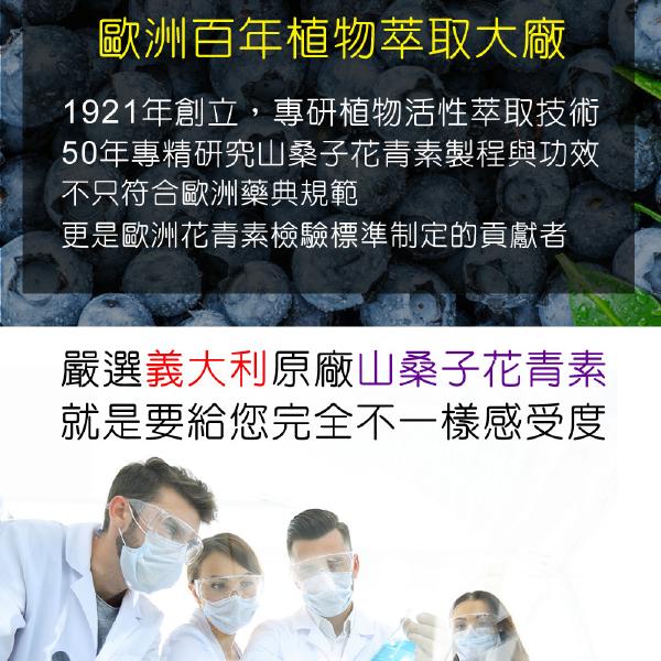 IVITAL艾維特®雙花青素葉黃素EX加強膠囊30粒「買3送1組」全素