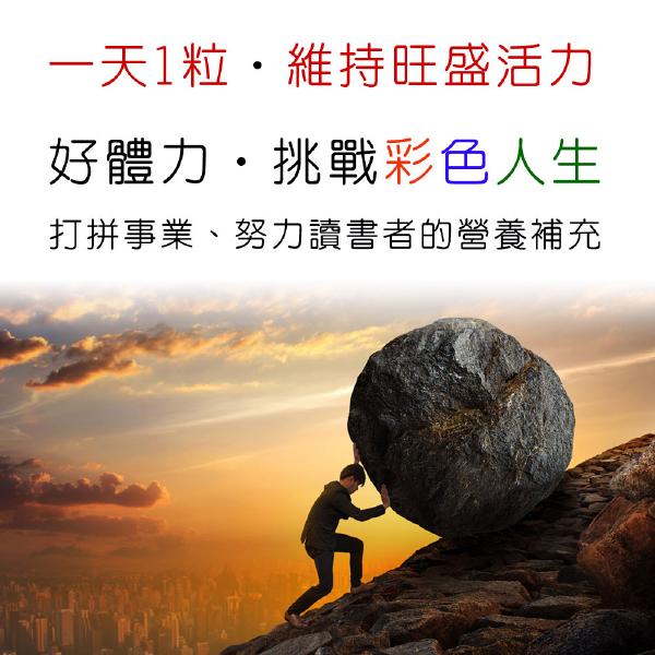 「加價購」IVITAL艾維特肝精+B群+朝鮮薊軟膠囊(90粒)「原會員價1500元」