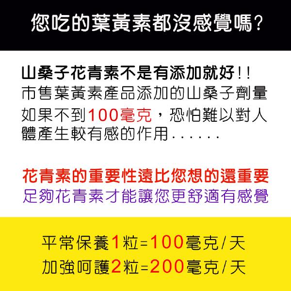 IVITAL艾維特®雙花青素葉黃素EX加強膠囊30粒「買3送1組」全素