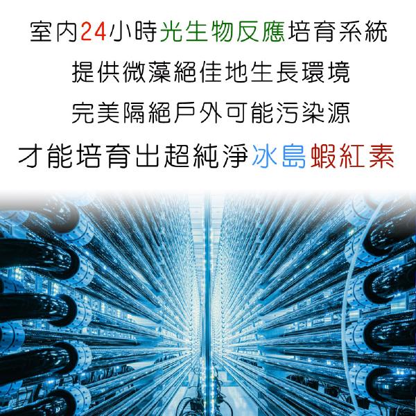 IVITAL艾維特®蝦紅素12毫克+DHA/EPA膠囊(60粒)「買2送1組」全素