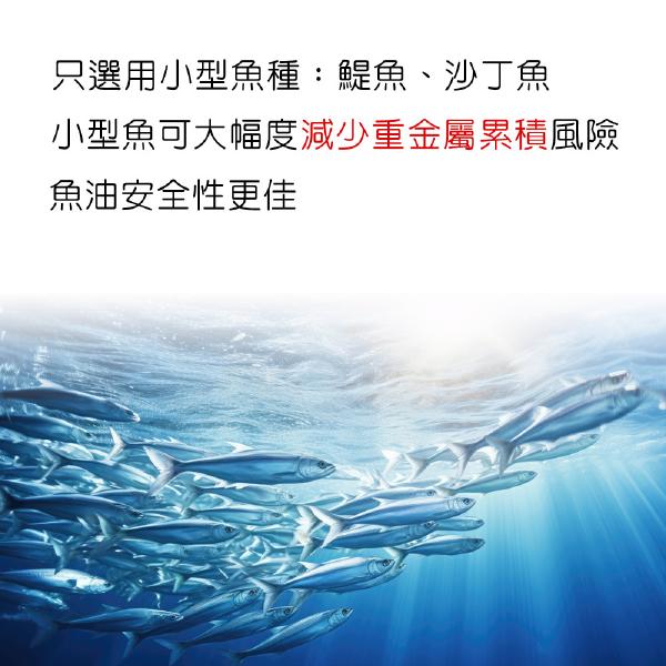 IVITAL艾維特®85%超臨界rTG魚油(60粒)「買2送2盒B群組」