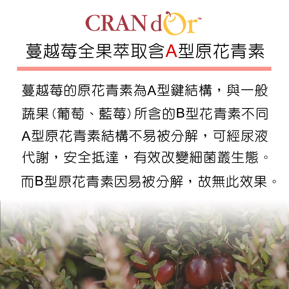 DL-ABS淨敏舒®私密益生菌+蔓越莓+ellirose+D-甘露糖膠囊