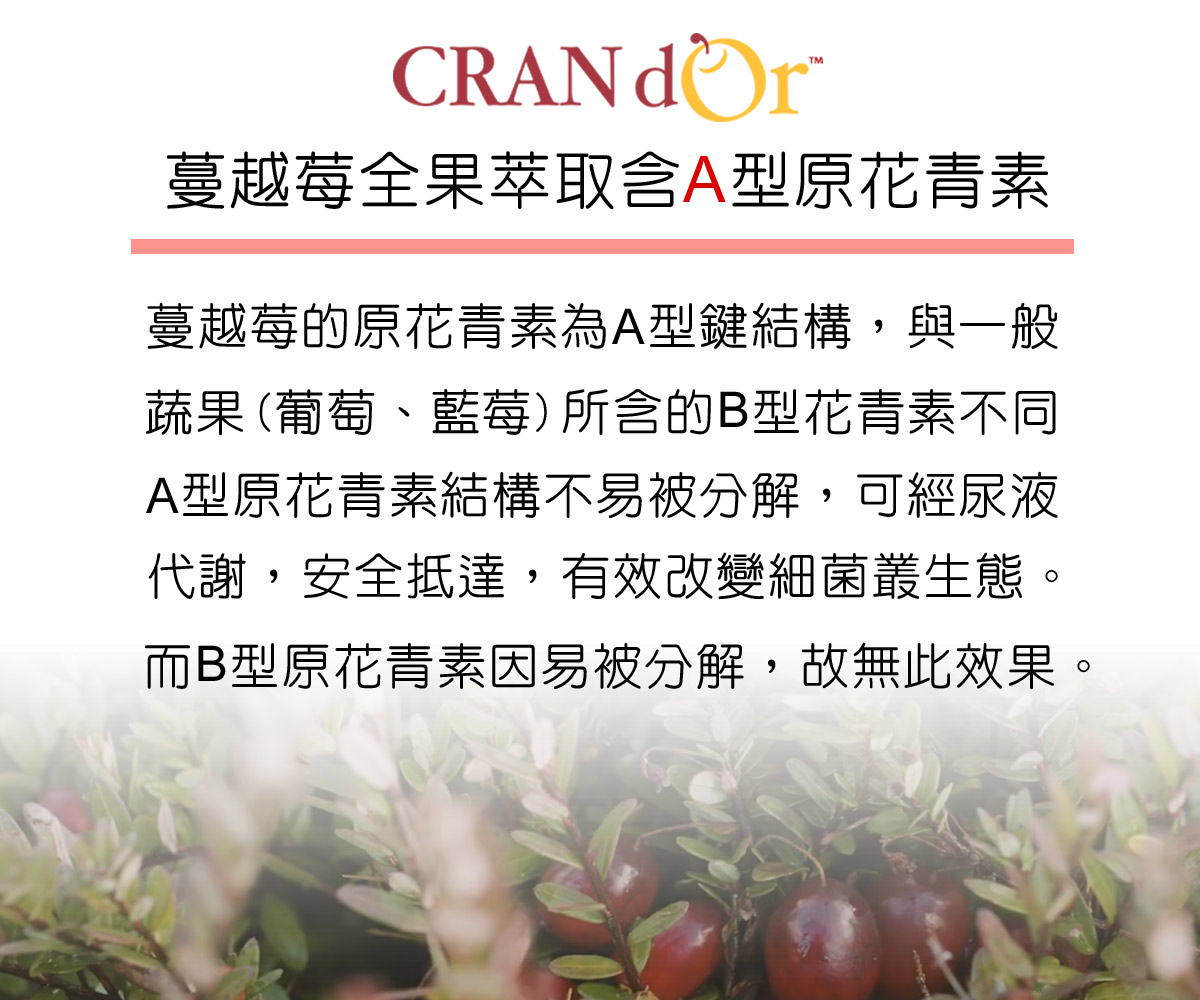 DL-ABS淨敏舒®私密益生菌+蔓越莓+ellirose+D-甘露糖膠囊