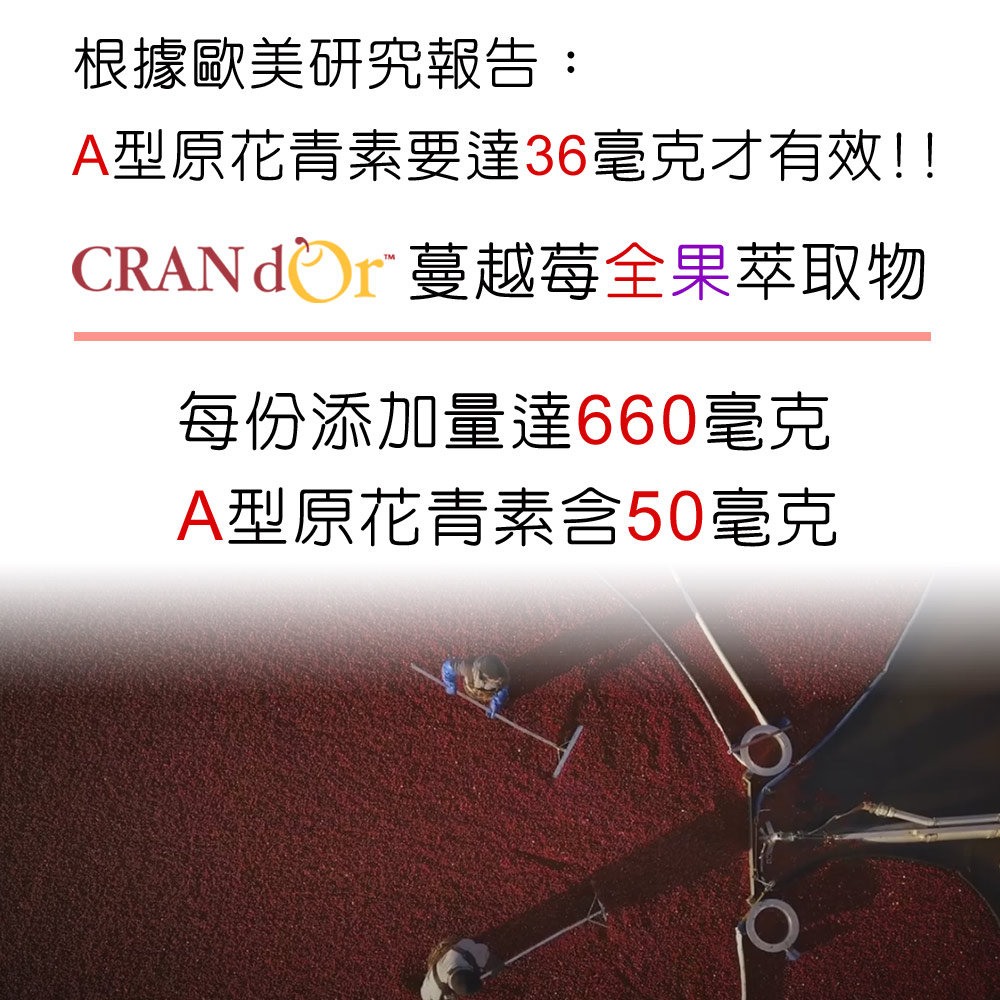 DL-ABS淨敏舒®私密益生菌+蔓越莓+ellirose+D-甘露糖膠囊