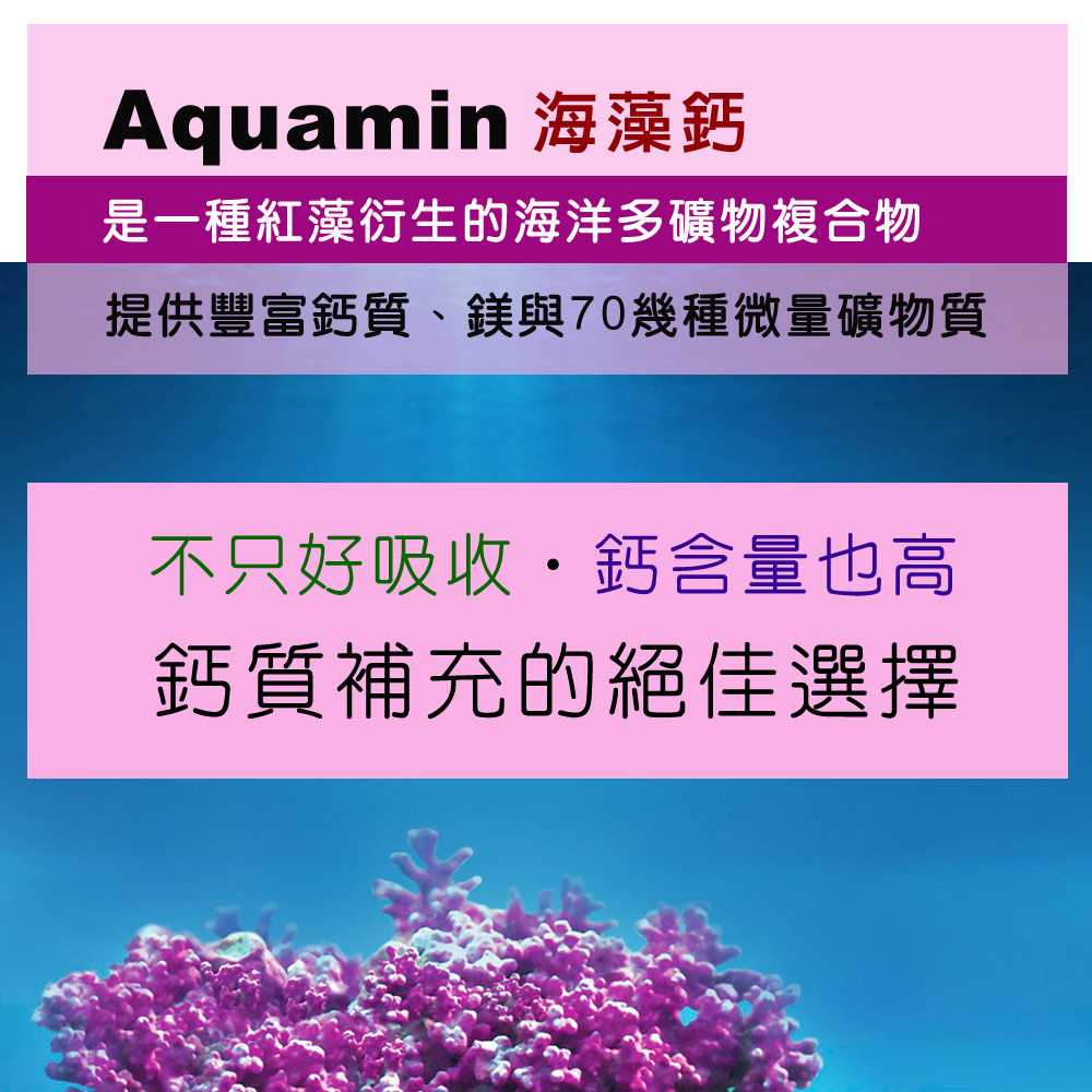 IVITAL艾維特®海藻鈣微甜可嚼錠