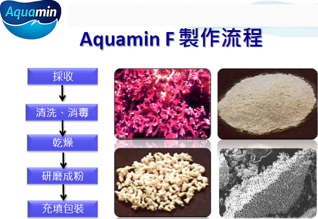 IVITAL艾維特 Aquamin F植物海藻鈣