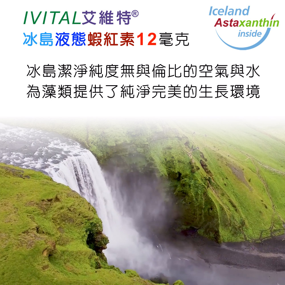 IVITAL艾維特®冰島蝦紅素DHA+EPA液體植物膠囊(60粒)全素