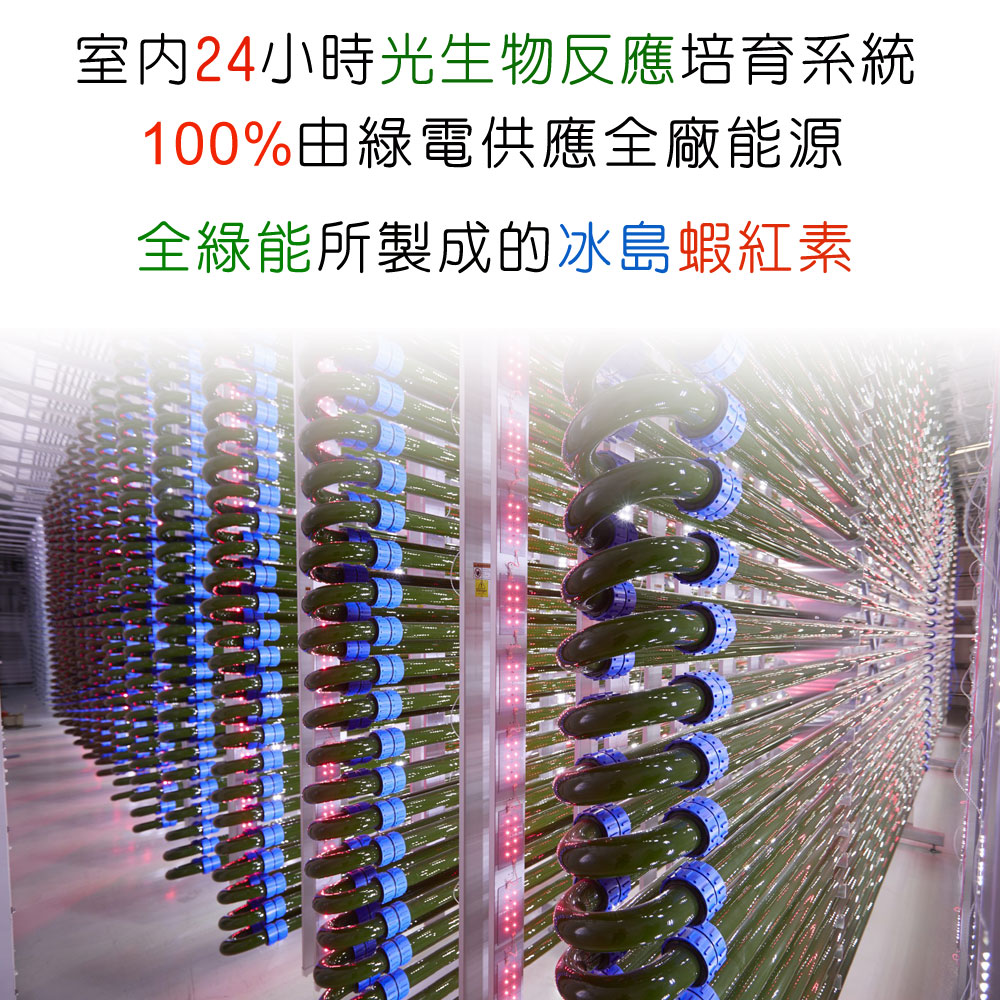 Algalif 冰島蝦紅素-室內密閉式24小時光生物反應培育系統