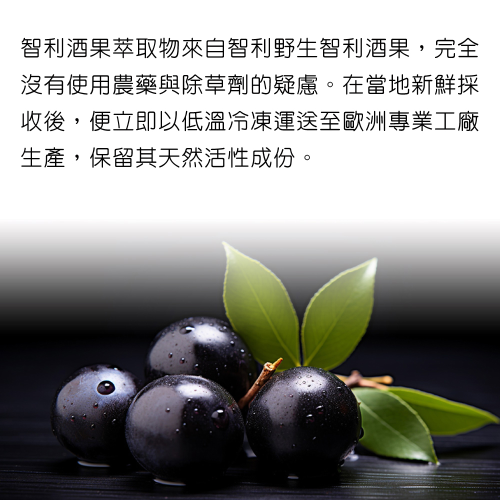 智利酒果萃取物來自智利野生智利酒果，完全沒有使用 農藥與除草劑的疑慮。在當地新鮮採收後，便立即以低 溫冷凍運送至歐洲專業工廠生產，保留其天然活性成份。