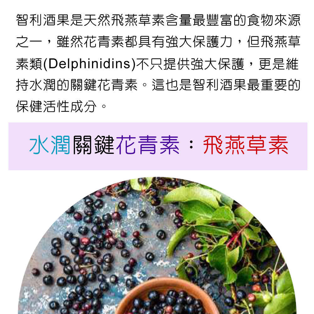 智利酒果是天然飛燕草素含量最豐富的食物來源 之一,雖然花青素都具有強大保護力,但飛燕草 素類(Delphinidins)不只提供強大保護,更是維 持水潤的關鍵花青素。這也是智利酒果最重要的 保健活性成分。