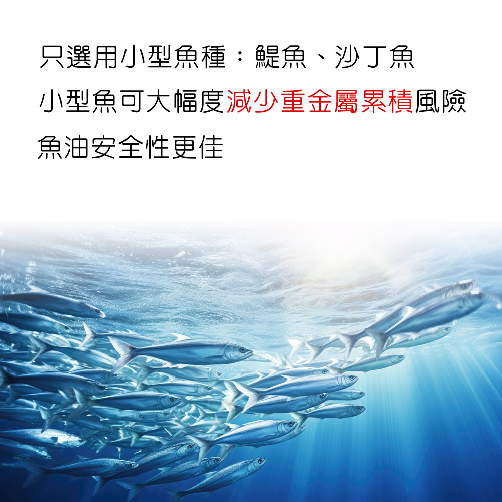 IVITAL艾維特®90%超臨界rTG魚油軟膠囊
