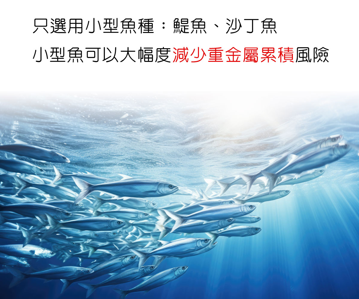 IVITAL艾維特®90%超臨界rTG魚油軟膠囊